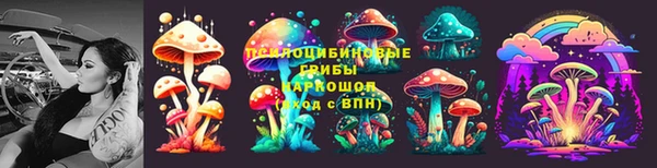 mdma Богданович